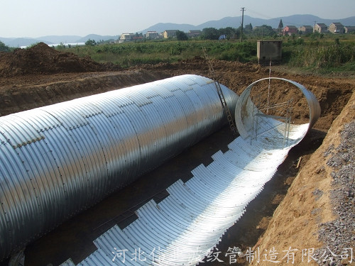 標(biāo)題名稱(chēng)圖片4